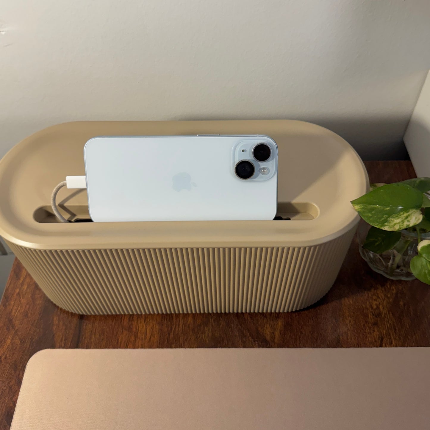 Beige Cable Management box with phone, box, and charger on a wooden surface next to a plant.