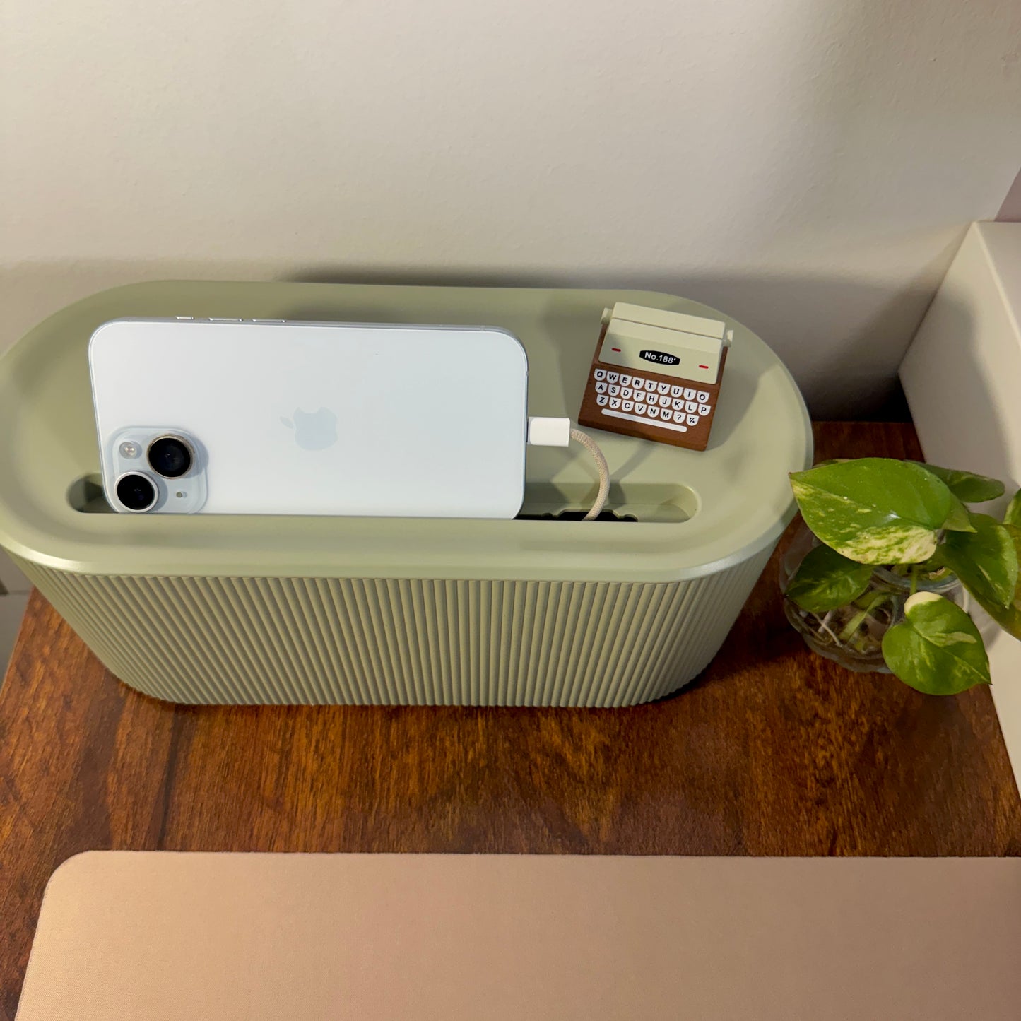 Green Cable Management box with phone, box, and charger on a wooden surface next to a plant.